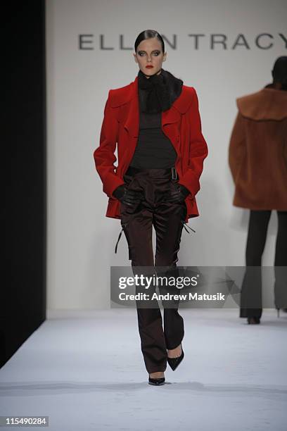 Model wearing Ellen Tracy Fall 2007 during Mercedes-Benz Fashion Week Fall 2007 - Ellen Tracy - Runway at The Showroom, Bryant Park in New York City,...