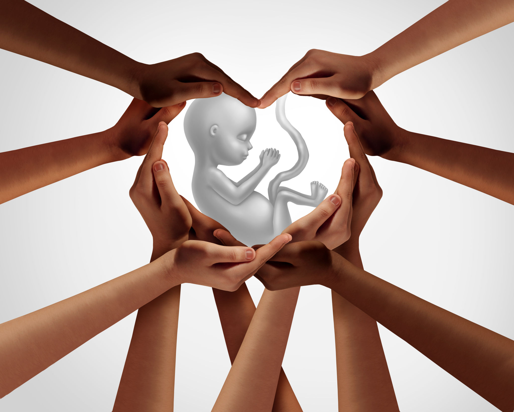 pro life advocacy