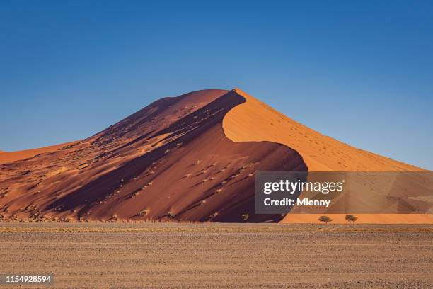 nambia desert dune 40 sossusvlei dunas de arena 2019 - dead vlei namibia fotografías e imágenes de stock