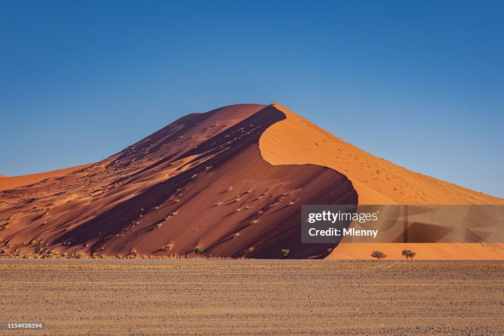 2019 Nambia Desert Dune 40 Sossusvlei Sand Dunes