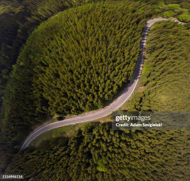 winding mountain road (aerial view) - wilderness road stock pictures, royalty-free photos & images