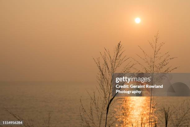 sunset from the cliffs of varkala - varkala beach stock pictures, royalty-free photos & images