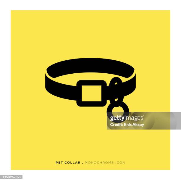 pet collar icon - cat walking stock illustrations