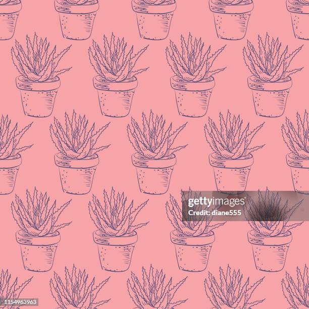 line art cactus pattern - empty flower pot stock illustrations