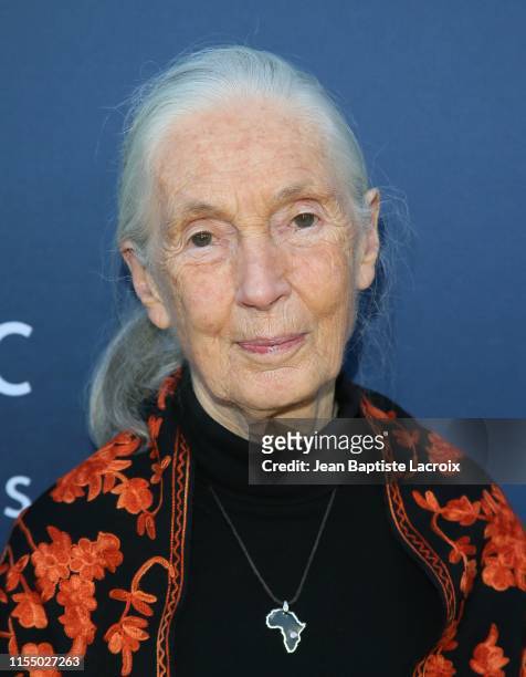 Dr. Jane Goodall attends the National Geographic Documentary Films' premiere of "Sea of Shadows" at NeueHouse Los Angeles on July 10, 2019 in...