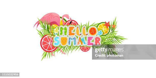 summer concept tropical fruits and flamingo and text of summer with transparent background - alpha channel stock illustrations