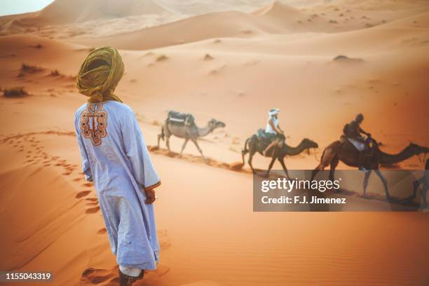 berber man watching a camel caravan in the desert of merzouga - bedouin stock-fotos und bilder