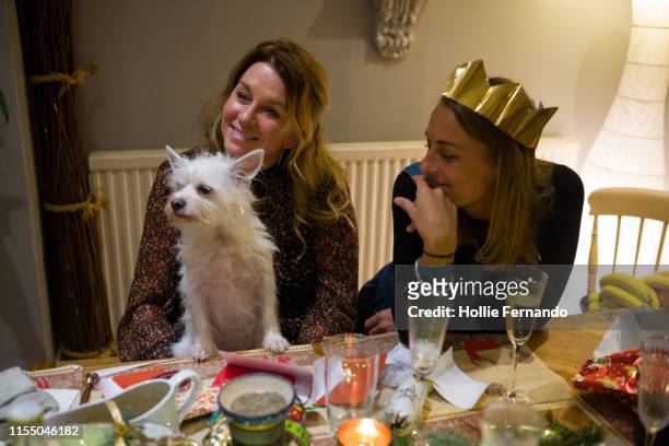 family at christmas table with a dog - family food stock pictures, royalty-free photos & images