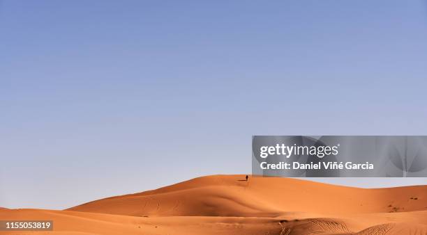 erg chebbi sand dune at sunrise, morocco, africa - sahara　sunrise ストックフォトと画像