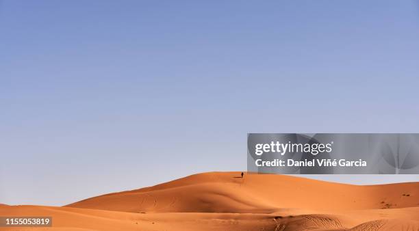 erg chebbi sand dune at sunrise, morocco, africa - sahara　sunrise stock pictures, royalty-free photos & images