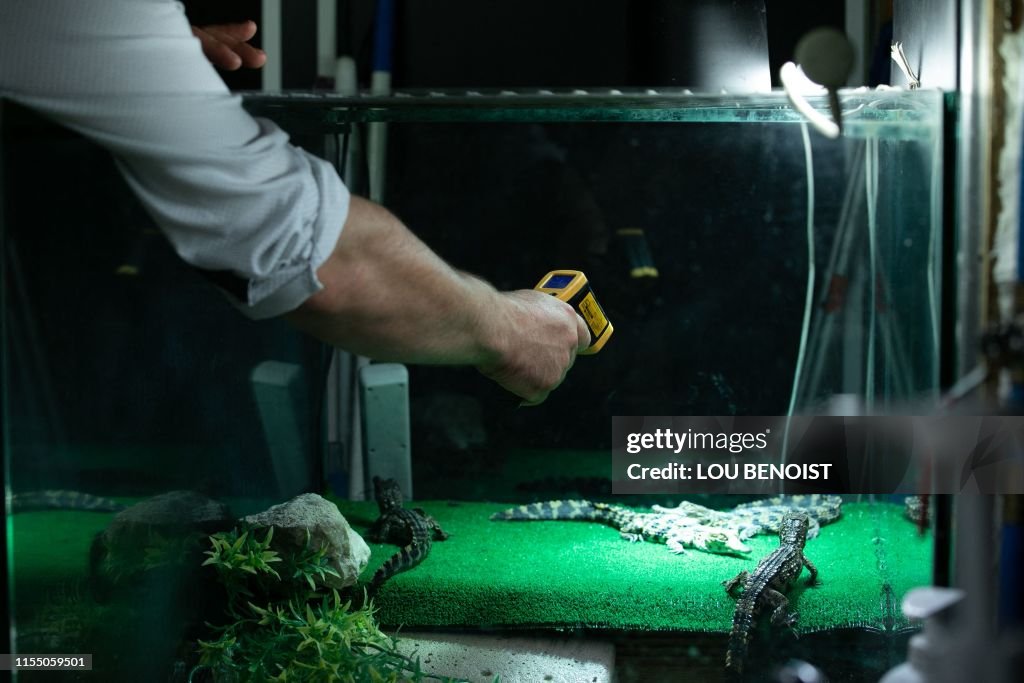 FRANCE-ANIMAL-ZOO-CROCODILE