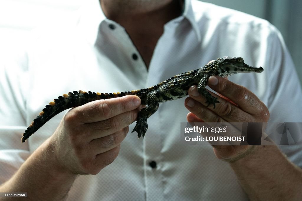FRANCE-ANIMAL-ZOO-CROCODILE