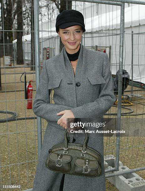 Helene de Fougerolles during Paris Fashion Week Fall/Winter 2007 - Christian Dior - Arrivals in Paris, France.