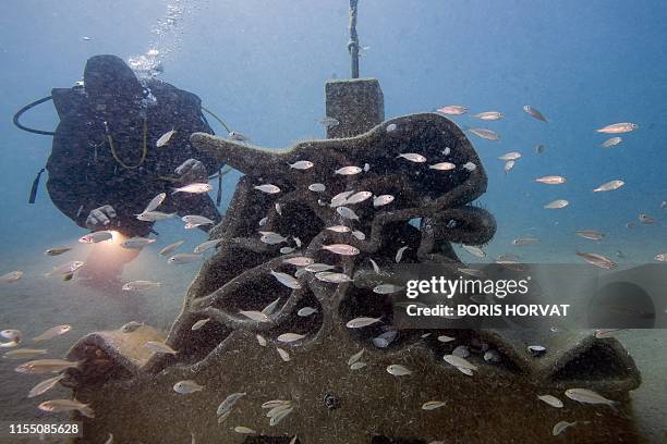 Recif Lab French Reef Photos and Premium High Res Pictures - Getty Images