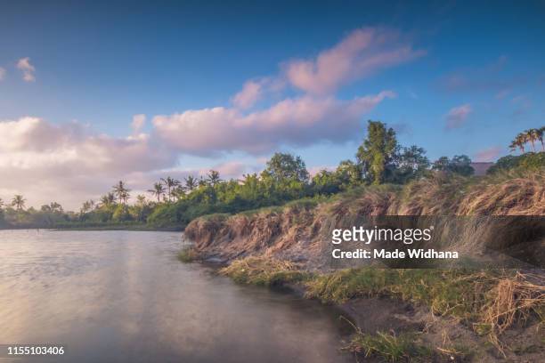 river bank with green trees and blue sky - made widhana stock pictures, royalty-free photos & images