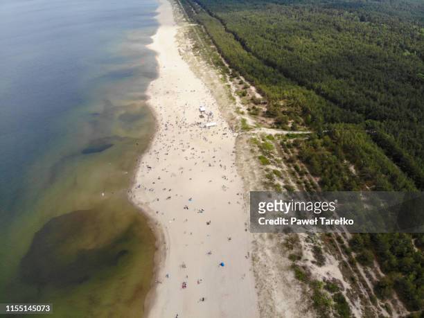 wyspa sobieszewska festival on the beach - baltic sea poland stock pictures, royalty-free photos & images