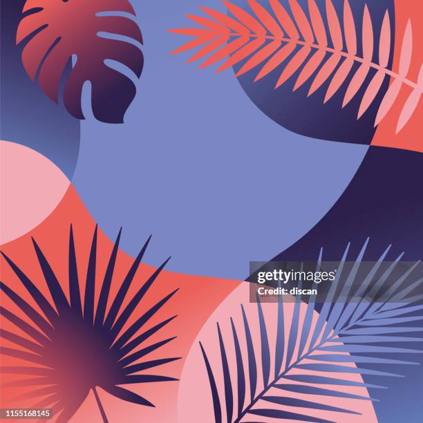 summer tropical background with palm leaves and exotic plants. - summer postcard stock illustrations
