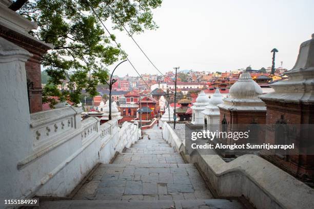 pashupatinath temple is one of the most significant hindu temples of lord shiva in the world, located on the banks of the bagmati river in the eastern part of kathmandu, the capital of nepal. - pashupatinath photos et images de collection