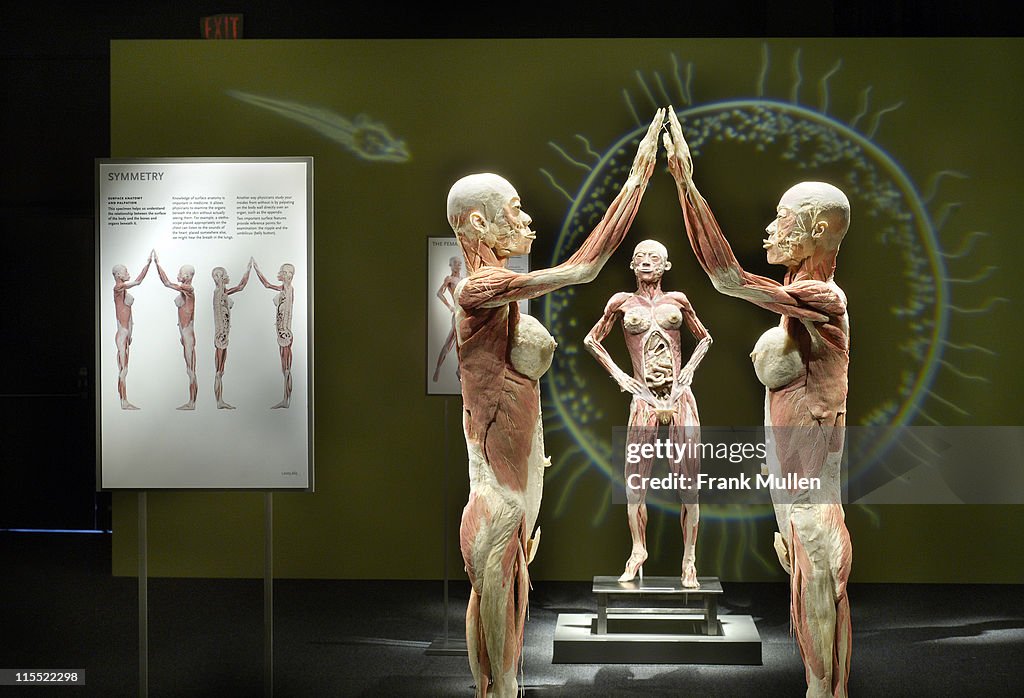 "Bodies... The Exhibition" Atlanta Preview - March 1, 2006