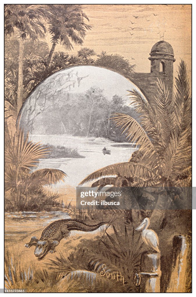 Antique image: Southern USA landscape