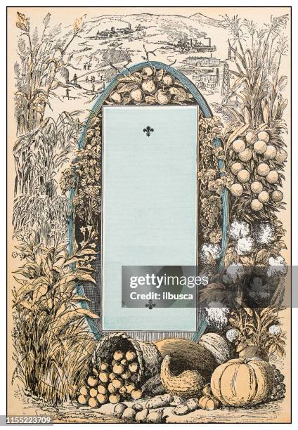 antique image: us agriculture products - pumpkin farm stock illustrations