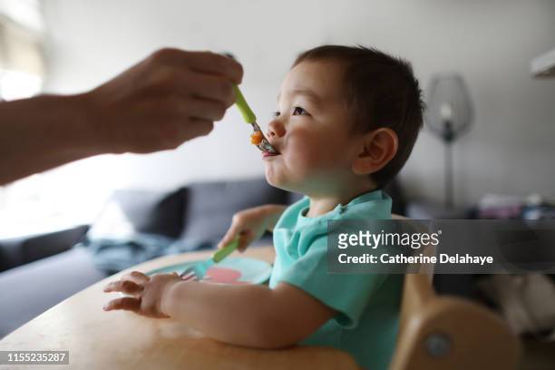 a 1 year old boy eating in his high chair at home - asian baby eating fotografías e imágenes de stock