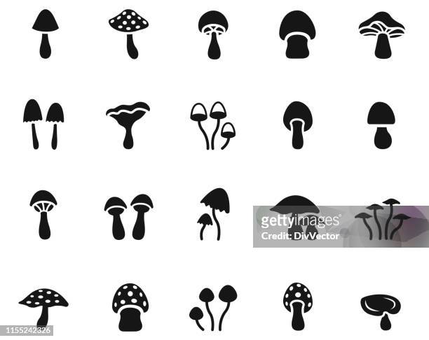 ilustraciones, imágenes clip art, dibujos animados e iconos de stock de conjunto de colección de setas - poisonous mushroom