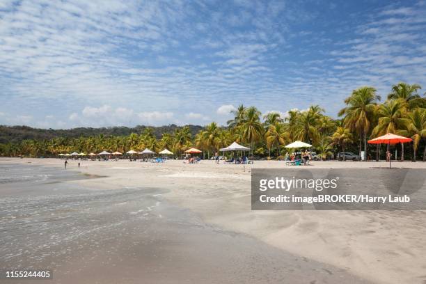 sandy beach with palm trees, playa carrillo, samara, nicoya peninsula, guanacaste province, costa rica - playa carrillo stock-fotos und bilder