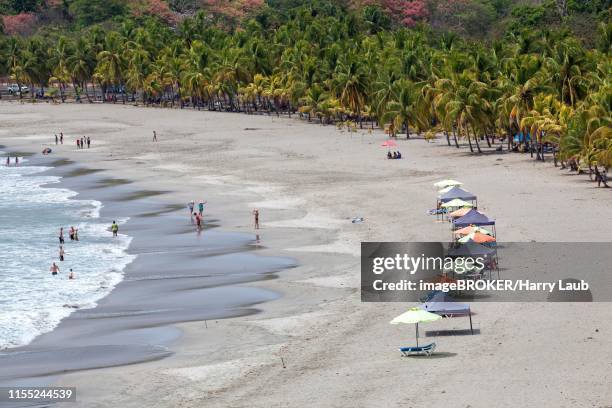 sandy beach with palm trees, playa carrillo, samara, nicoya peninsula, guanacaste province, costa rica - playa carrillo stock-fotos und bilder