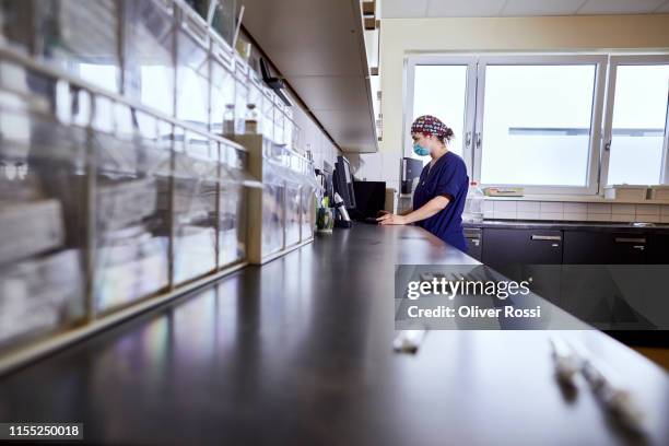 nurse using computer in animal hospital - veterinarian background stock pictures, royalty-free photos & images