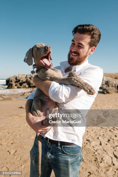jonge man met een puppy hond op een strand - weimaraner stockfoto's en -beelden
