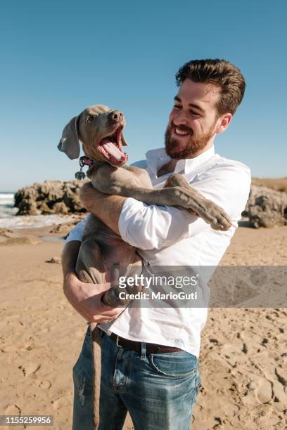 ung man som håller en valp hund på en strand - weimaraner bildbanksfoton och bilder