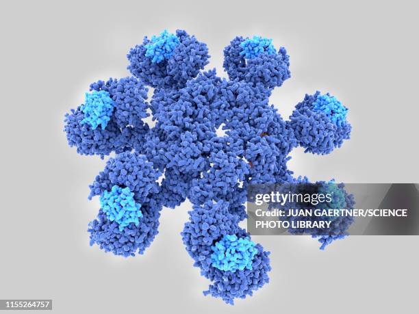 apoptosome cell death protein, molecular model - cell death stock illustrations