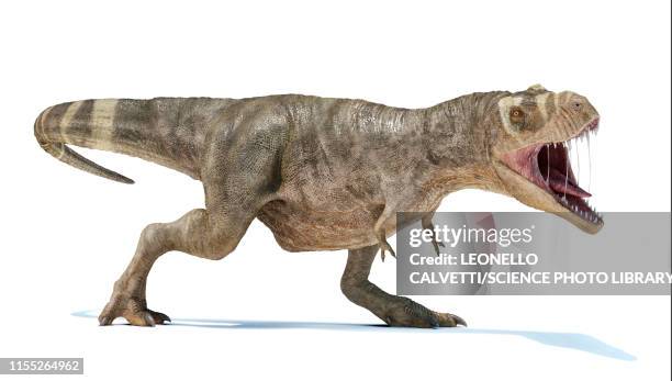 t-rex dinosaur, illustration - monster fiktionale figur stock-grafiken, -clipart, -cartoons und -symbole