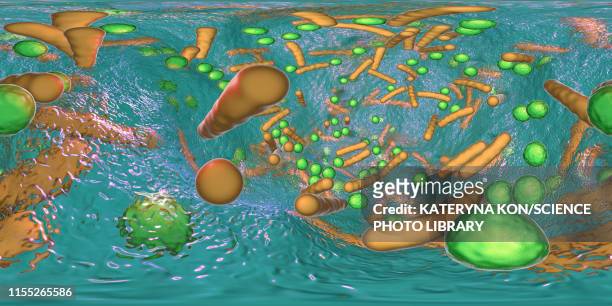 bacteria in a biofilm, illustration - slimy stock illustrations