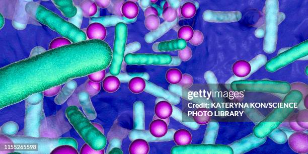 illustrations, cliparts, dessins animés et icônes de bacteria in a biofilm, illustration - legionella pneumophila