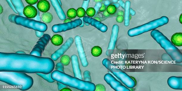 illustrations, cliparts, dessins animés et icônes de bacteria in a biofilm, illustration - legionella pneumophila