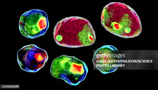 cells, conceptual illustration - core stock illustrations