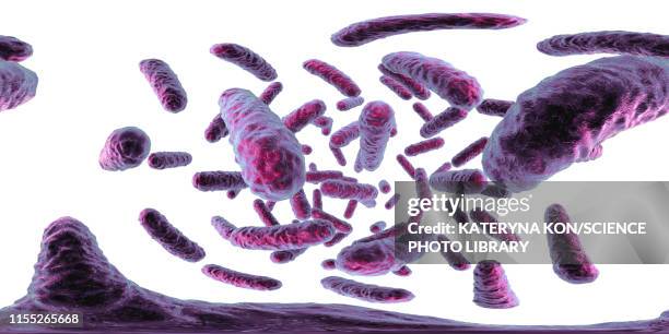 enterobacteriaceae bacteria, illustration - klebsiella stock illustrations