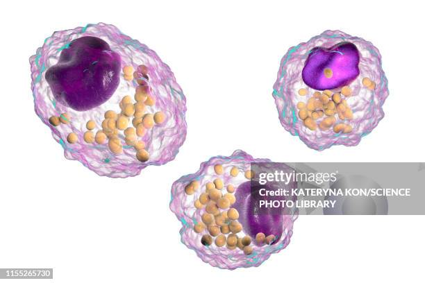 macrophage foam cell, illustration - macrophage stock illustrations