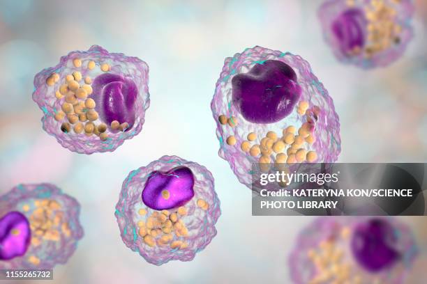 macrophage foam cell, illustration - macrophage stock illustrations