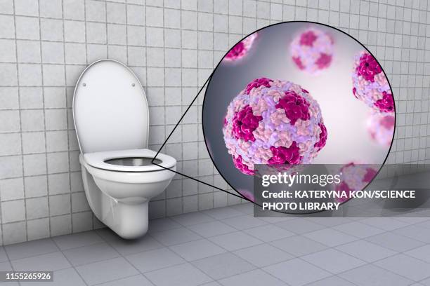 ilustrações, clipart, desenhos animados e ícones de toilet microbes, conceptual illustration - hav