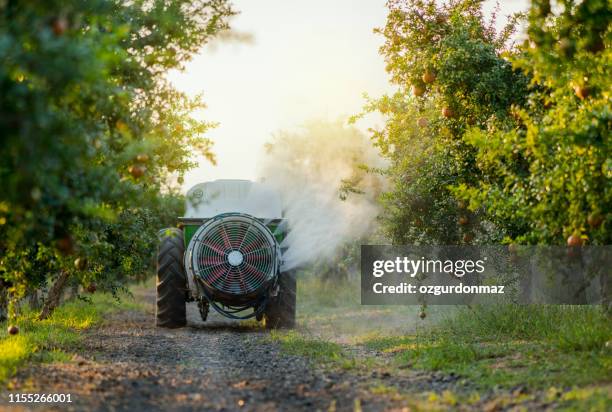 在園林石榴樹上噴灑殺蟲劑或殺菌劑的拖拉機 - orchard 個照片及圖片檔