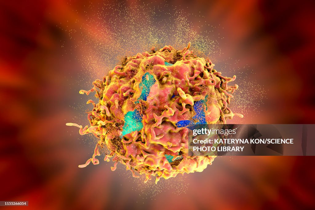 Destruction of a cancer cell, illustration