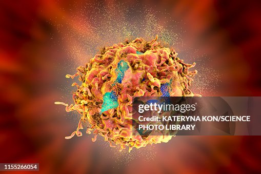Destruction Of A Cancer Cell Illustration High-Res Vector Graphic ...