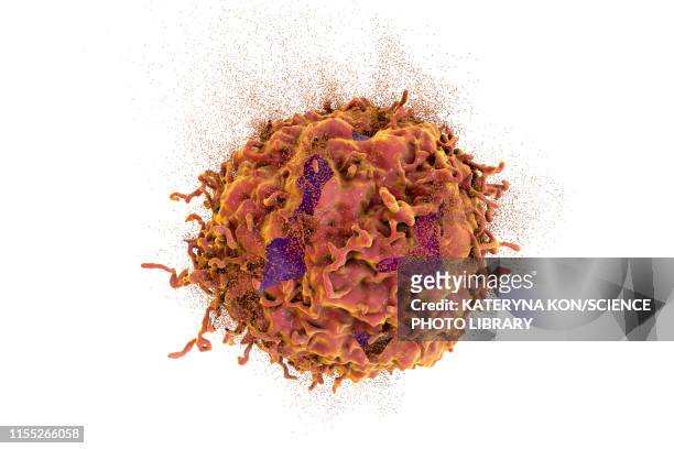 destruction of a cancer cell, illustration - blood cancer cell stock illustrations