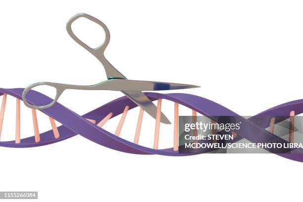 dna editing, conceptual illustration - crispr stock illustrations