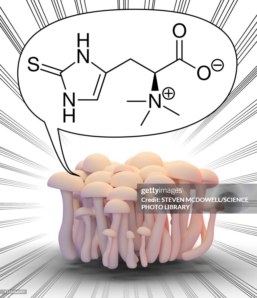 Mushrooms with ergothioneine molecule, illustration