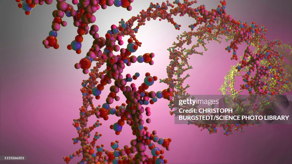 Nucleic acid, illustration