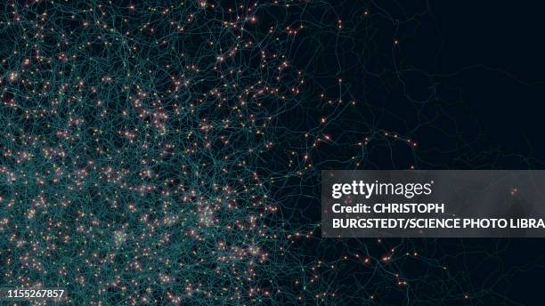 network, illustration - nerve cell stock pictures, royalty-free photos & images